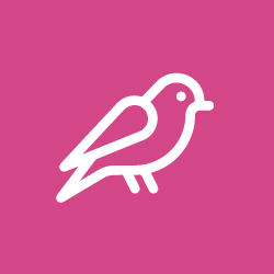 Aves